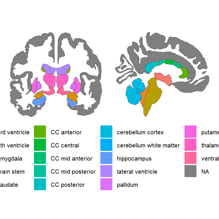 aseg atlas brain in ggplot