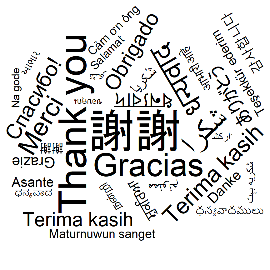 Text rotation of the R wordcloud